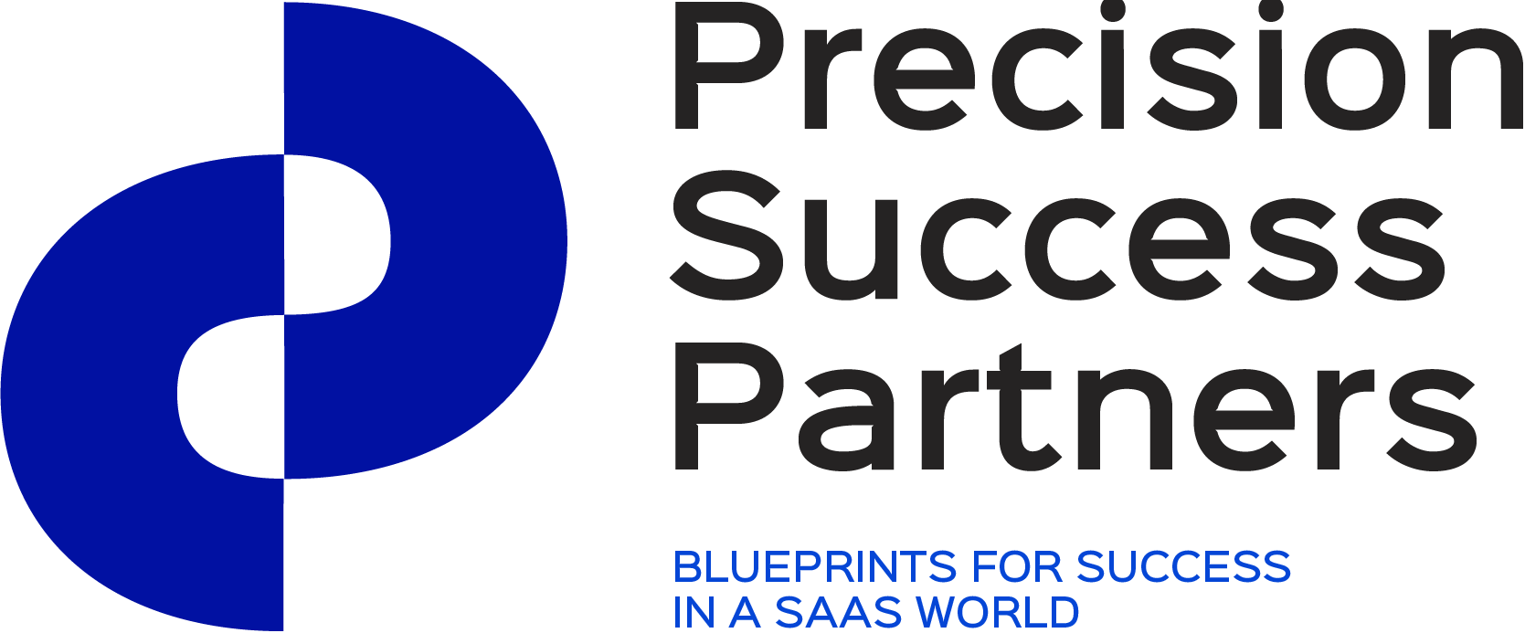 Precision Success Partners